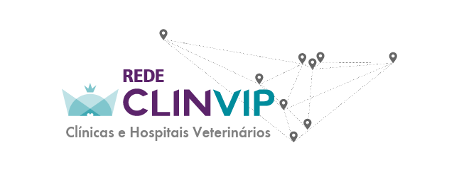 cliente-10